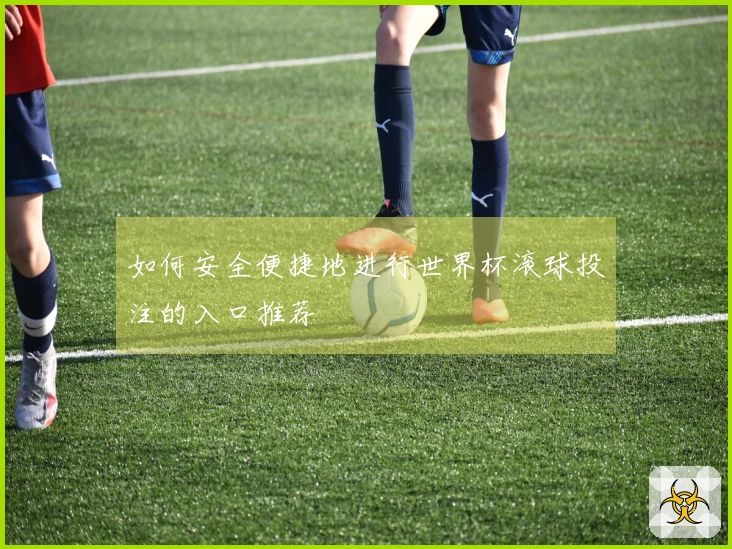如何安全便捷地进行世界杯滚球投注的入口推荐
