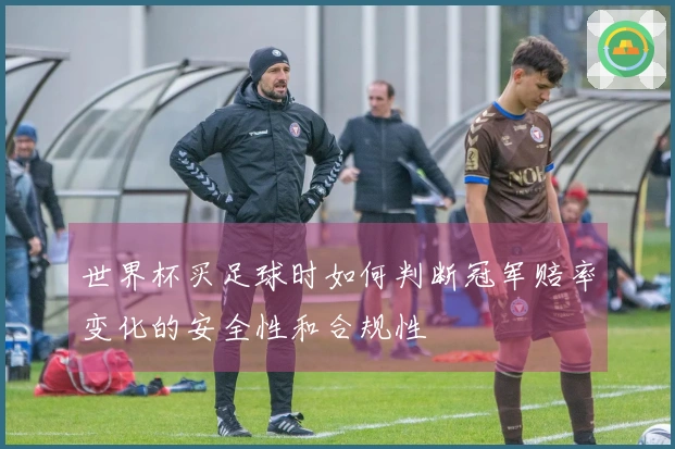 世界杯买足球时如何判断冠军赔率变化的安全性和合规性