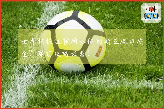 世界杯投注官网如何判断正规与安全？赛前攻略必看！