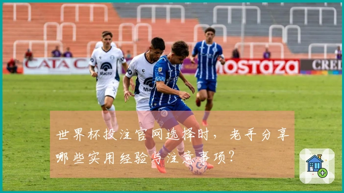 世界杯投注官网选择时,老手分享哪些实用经验与注意事项?